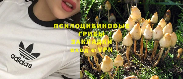 эйфоретик Алексин