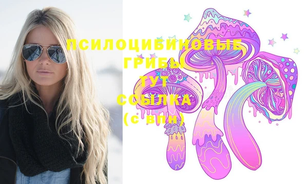 эйфоретик Алексин