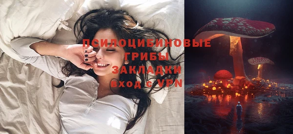 эйфоретик Алексин